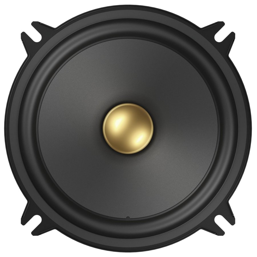 Pioneer TS-A1301C #2