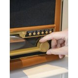 Lenco TCD-2571 wood #11