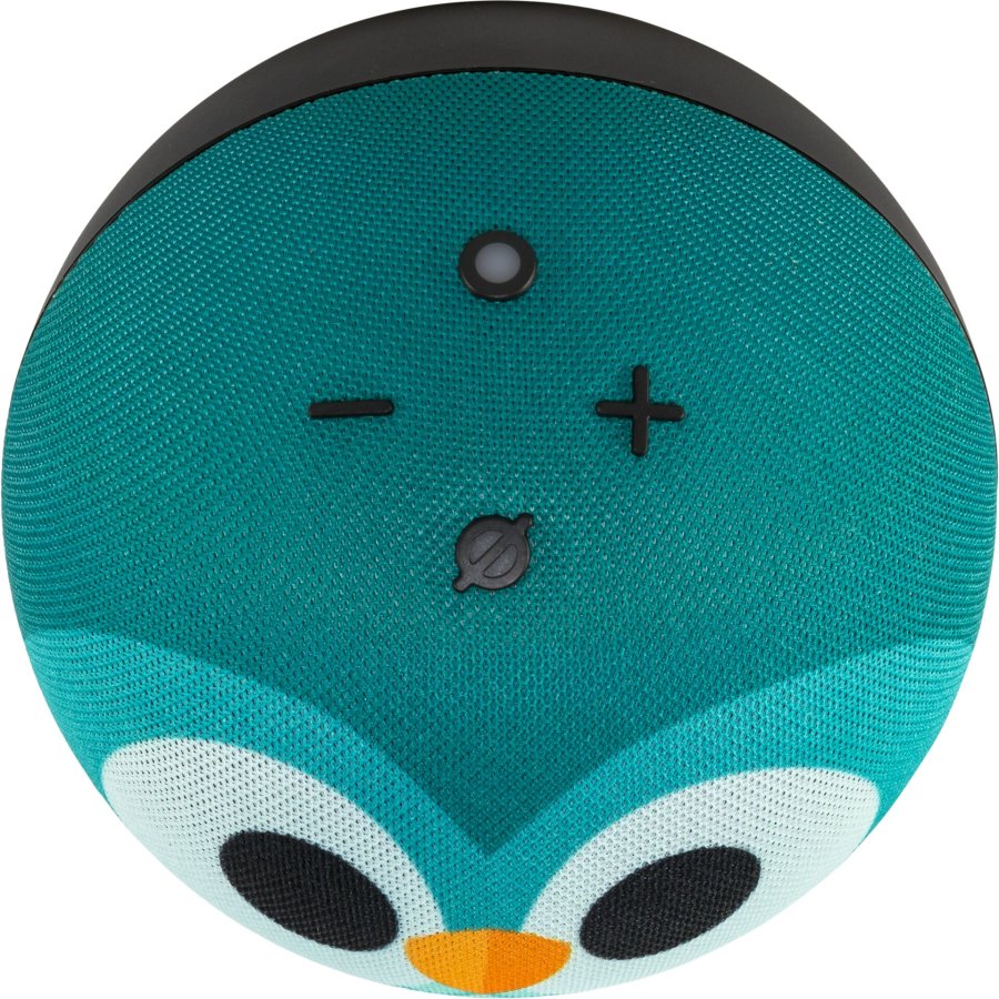 Amazon Echo Dot 5 Owl Design #2
