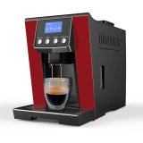 Acopino Latina red #1