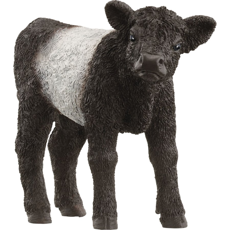 Schleich Farm World Galloway Calf              13969 #1