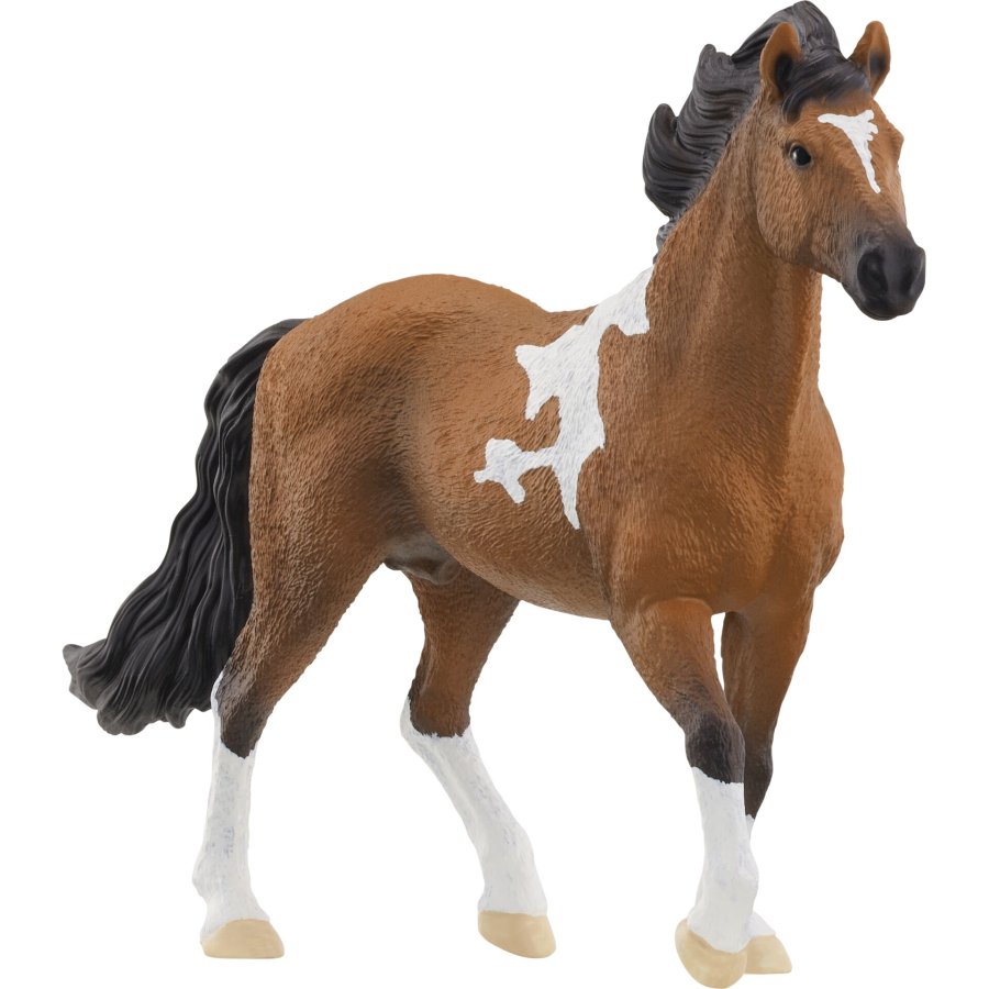 Schleich Horse Club        13978 Mangalarga Marchador Stallion #1