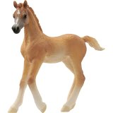 Schleich Horse Club        13984 Arabian Foal #1