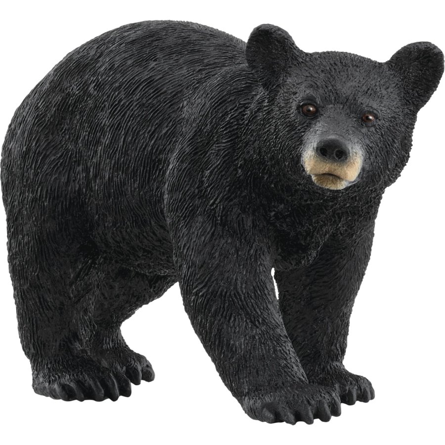 Schleich Wild Life         14869 American Black Bear #1