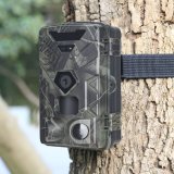 Denver WCT-8016 Wildlife Camera #5