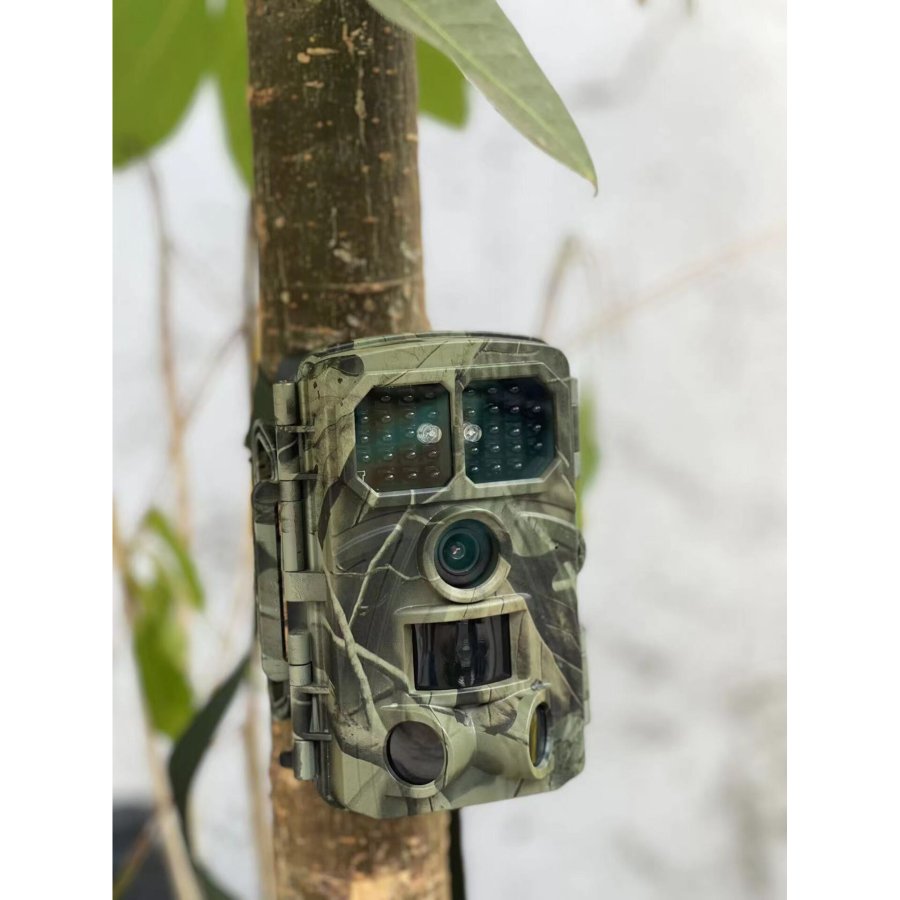 Denver WCT-8026W Wildlife Camera #6