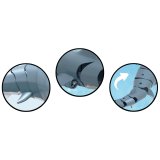 AMEWI Sharky, the blue shark 4-channel RTR 2,4GHz #5