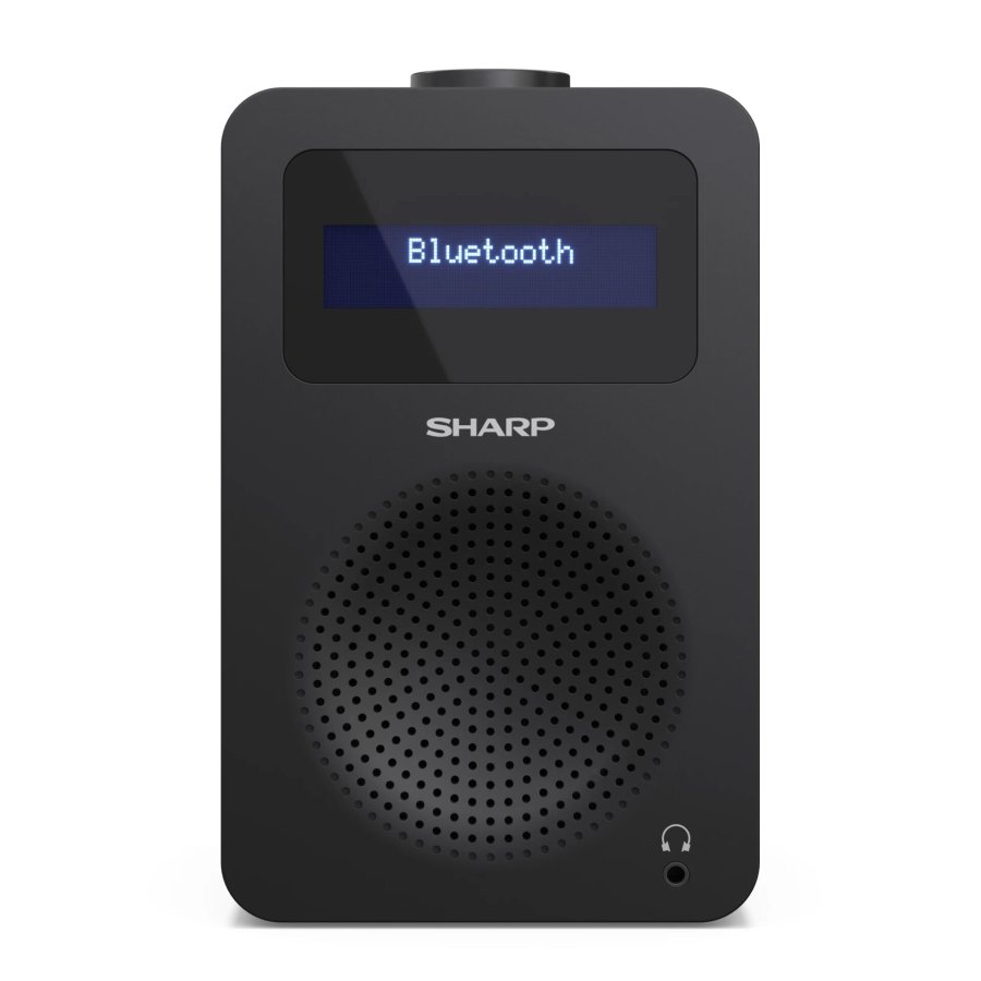 Sharp DR-430 Personligt Digital Sort #2