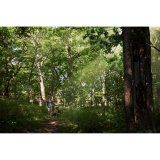 Garmin eTrex Solar #9