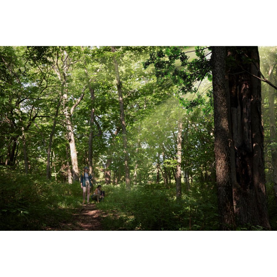 Garmin eTrex Solar #9