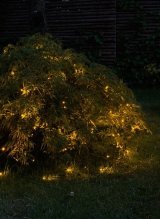 Sirius Home David kdelys 100 Lampe( r) LED 1 m #1