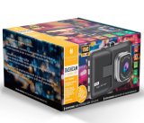 Scandinavian Collection 