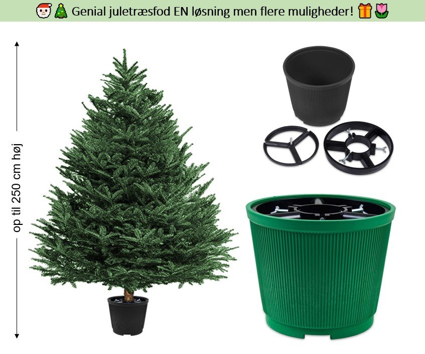 DTE Juletrsfod Grn #1