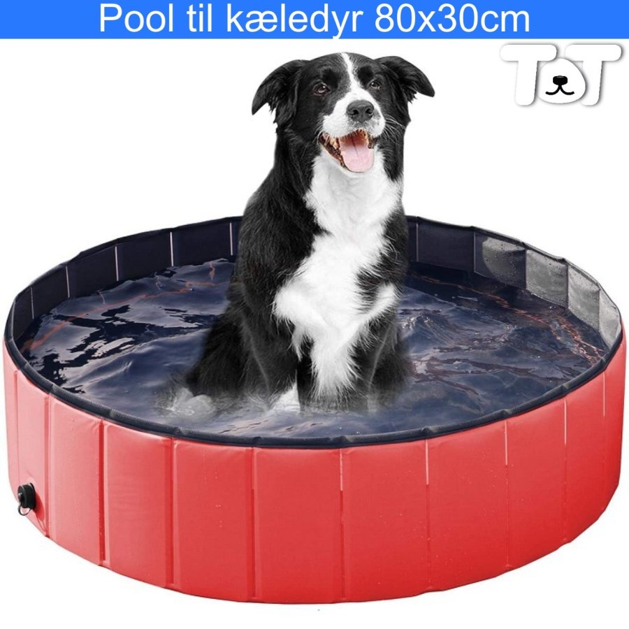 Pool til kledyr 80x30 cm #1