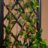 Plantekasse med espalier #1