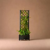 Plantekasse med espalier #4