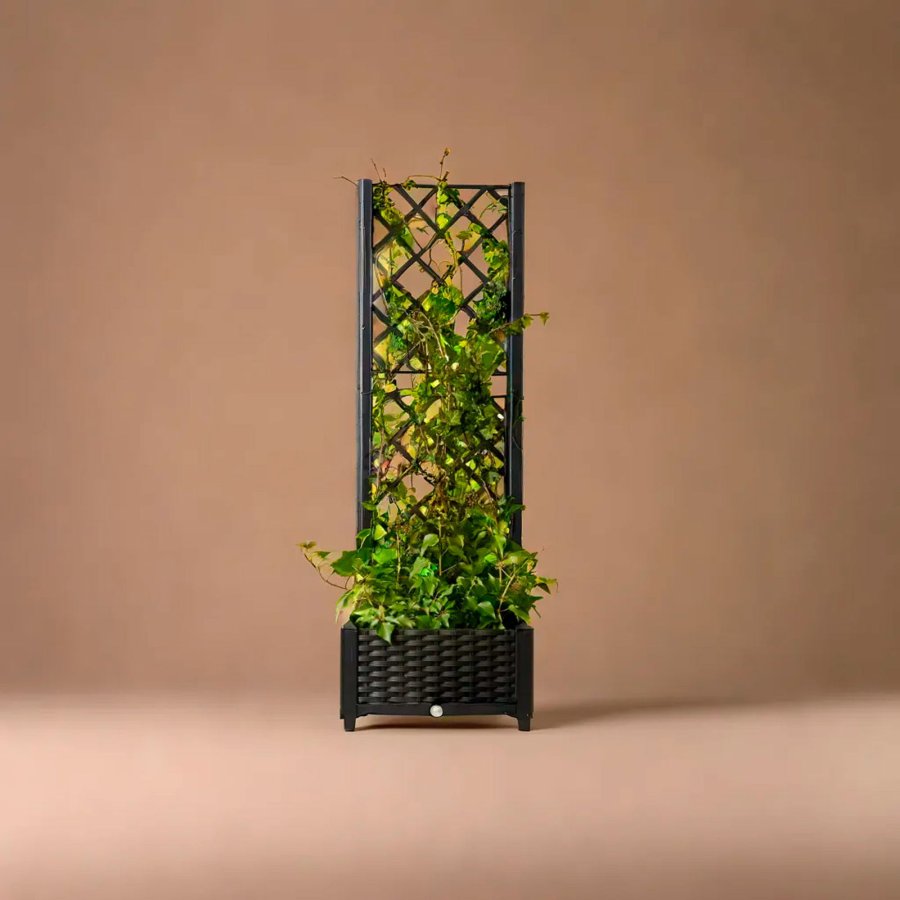 Plantekasse med espalier #4