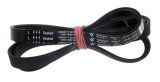 1234J5EL 42025177 DRIVREM, ELASTISK (1200/1400/1600 RPM 32/40/42/47) #1