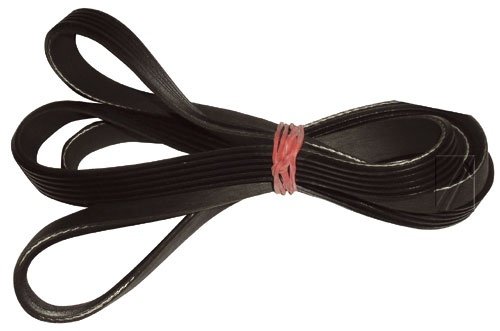 1244J5 POLY-V REM L =1244MM #1