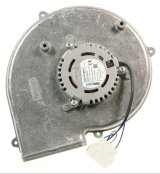 689250118 BLSER (TRRING) LA08 #1