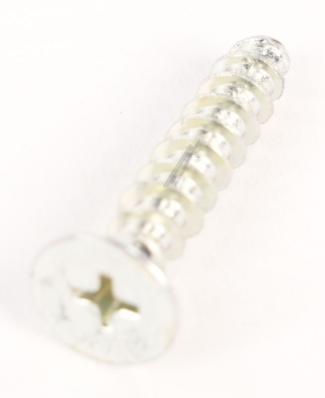 2951580200 C00884799 PT SKRUE (6*30) #1