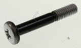 6001-003072 SKRUE,BH,+,WS,M4,L25,NI PLT,SWRC #1