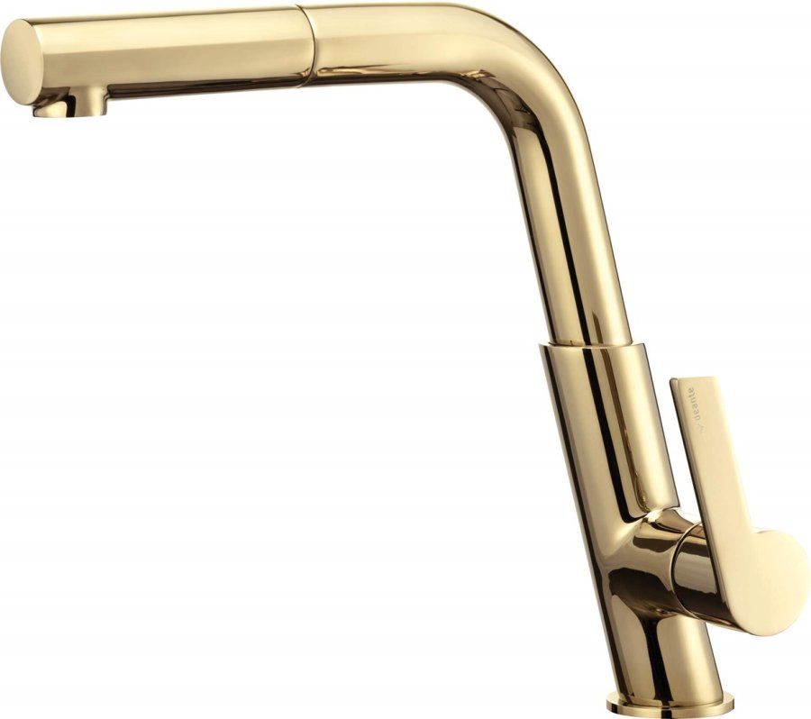 Kitchen faucet with pull-out spout #1