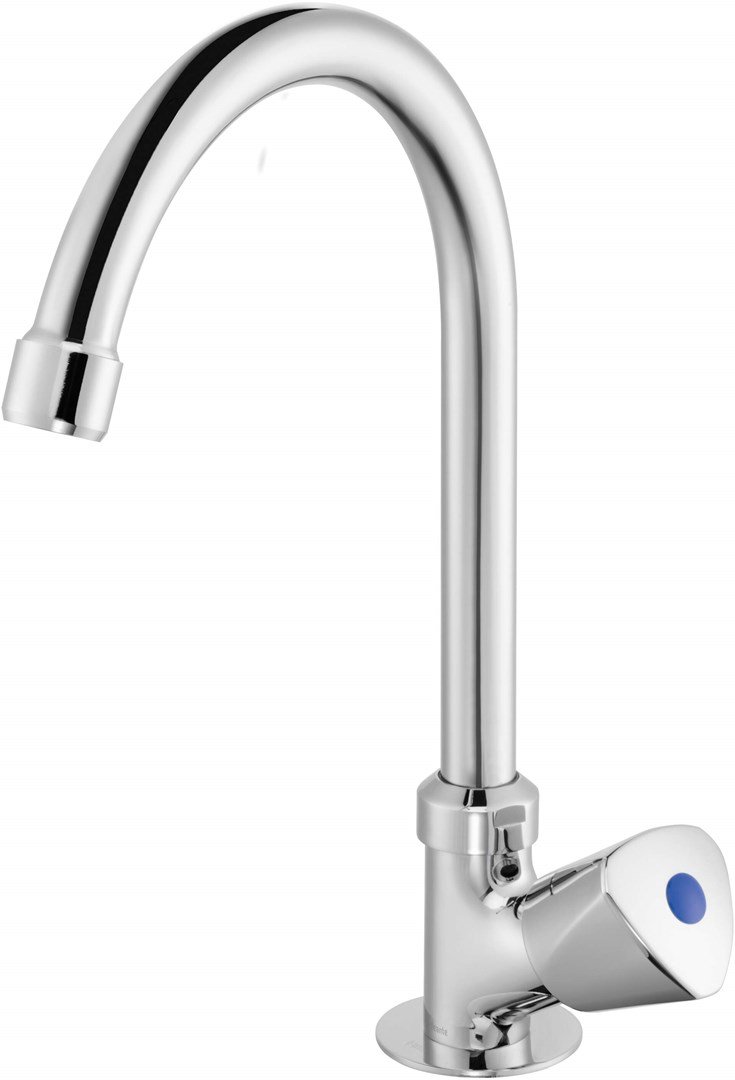 Kitchen faucet for cold or mixed water #1