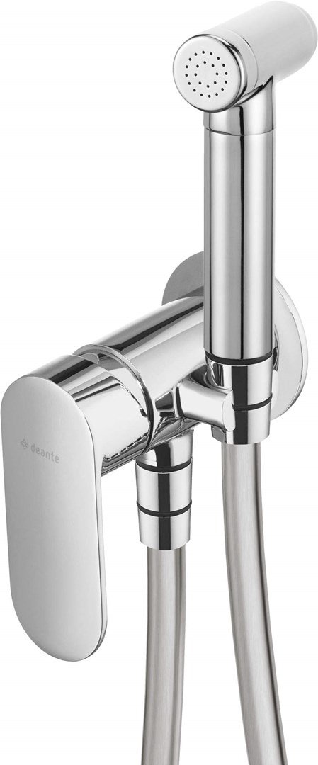 Skjult bidet mixer Deante Alpinia Skjult krom BG #3