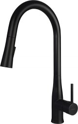 Kitchen faucet with pull-out spout #1