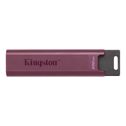 512GB USB 3.2 DATATRAVELER MAX #1