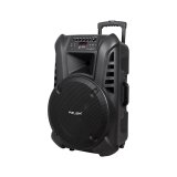 Active loudspeaker (with 2 wireless microphones, SD, Bluetooth, USB) 15" 120W #1