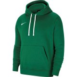 Nike Park 20 Hoodie green CW6957 302 #1