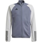 adidas Tiro 23 Competition Training Sweatshirt grey HP1909 #1