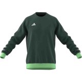 adidas Tiro 23 Competition Crew men's sweatshirt green HU1324 #1