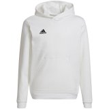 Sweatshirt for kids adidas Entrada 22 Hoody white HG6303 152cm #1