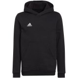 Sweatshirt for kids adidas Entrada 22 Hoody black H57516 128cm #1