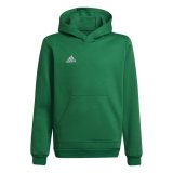 Sweatshirt for kids adidas Entrada 22 Hoody green HI2143 116cm #1
