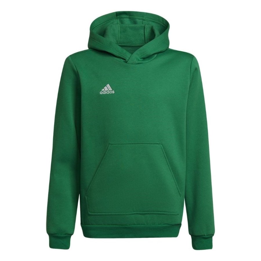 Sweatshirt for kids adidas Entrada 22 Hoody green HI2143 116cm #1