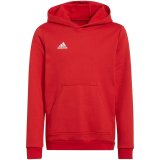 Sweatshirt for kids adidas Entrada 22 Hoody red H57566 140cm #1