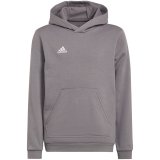Sweatshirt for kids adidas Entrada 22 Hoody gray H57515 116cm #1