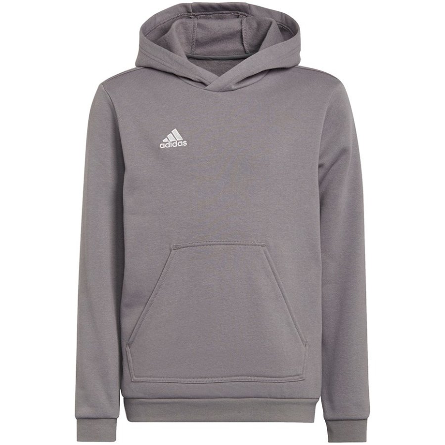 Sweatshirt for kids adidas Entrada 22 Hoody gray H57515 116cm #1