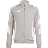 Sweatshirt for kids adidas Tiro 24 Training grey IR9508 164cm #1