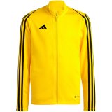 Sweatshirt for kids adidas Tiro 23 League Training yellow IC7874 128cm #1