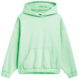 Women's sweatshirt 4F light green 4FSS23TSWSF255 42S L #1