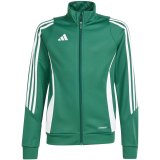 Sweatshirt for kids adidas Tiro 24 Training green IR7503 116cm #1