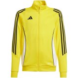 Sweatshirt for kids adidas Tiro 24 Training yellow IR9507 116cm #1