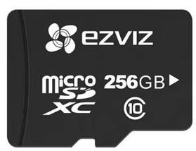 Ezviz 256GB microSD memory card #1