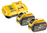 XR Flexvolt Battery 2x12 Ah #1