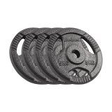 Cast iron weight set 4x5kg, bore 31mm, disc with handles, REBEL ACTIVE #1